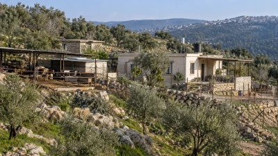 מבני מגורים, רפת וגדרות לצד עצי זית בשטח עכברה בצפת
