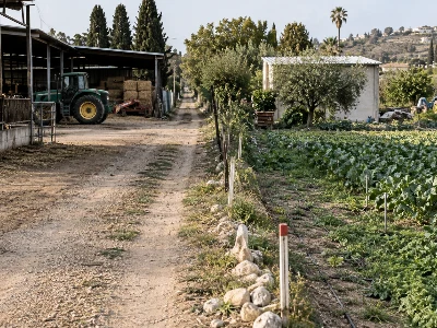 תמונה עבור בית המשפט קבע את גבול הנחלות לפי התצ"ר והורה לשכן לסלק ידו משביל הגישה